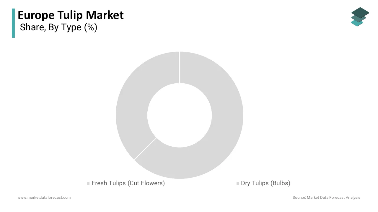 The fresh tulips segment dominated the European tulip market and accounted for a substantial share in 2025